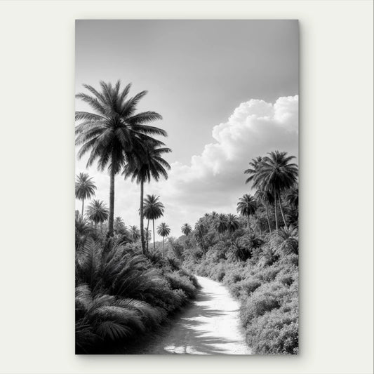 Minimalist Black and White Palm Tree Path 40x60cm Metal Print Ready to Hang