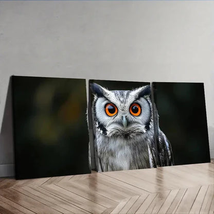 3pcs A Photo of an Owl with Orange Eyes Wall Art Set Canvas Unframed - High Quality Print 100% Australian Made Wall Canvas - Bella Home Decor