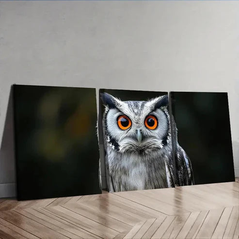 3pcs A Photo of an Owl with Orange Eyes Wall Art Set Canvas Unframed - High Quality Print 100% Australian Made Wall Canvas