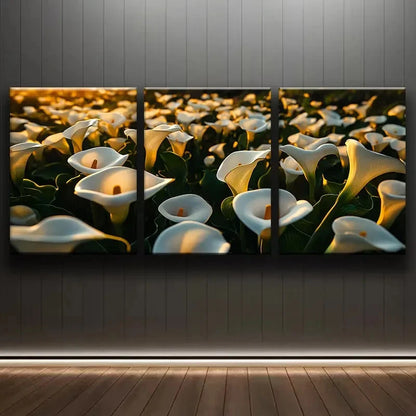3pcs Calla Lilies Field Print Wall Art Set Canvas Framed 40x60cm - High Quality Print 100% Australian Made Wall Canvas Ready to Hang - Bella Home Decor