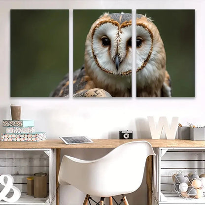 3pcs Owl Close-Up Spray Paint Vertical Decor   Wall Art Set Canvas Framed 60x90cm - High Quality Print 100% Australian Made Wall Canvas Ready to Hang