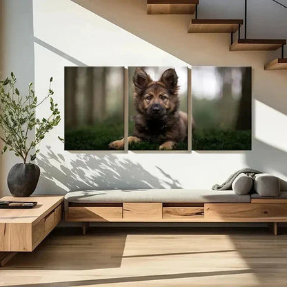 3pcs Brownish Dog Puppy Sitting on Grass Wall Art Set Canvas Unframed - High Quality Print 100% Australian Made Wall Canvas - Bella Home Decor