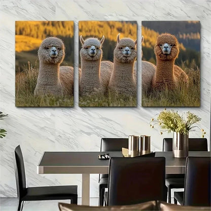 3pcs Huacaya Suri Alpaca Farm Nature Perfect Wall Art Set Canvas Framed 50x70cm - High Quality Print 100% Australian Made Wall Canvas Ready to Hang