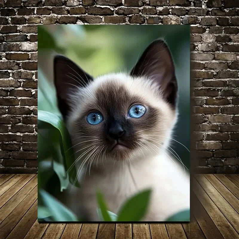 Adorable Siamese Kitten with Blue Eyes Painting 40x60cm Metal Print Ready to Hang