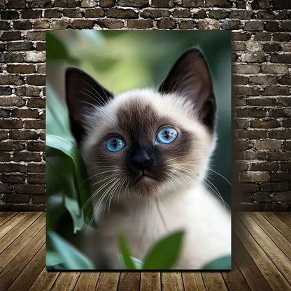Adorable Siamese Kitten with Blue Eyes Painting 40x60cm Metal Print Ready to Hang