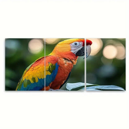 3pcs Vibrant Yellow Parrot Decor  Wall Art Set Canvas Framed 50x70cm - High Quality Print 100% Australian Made Wall Canvas Ready to Hang
