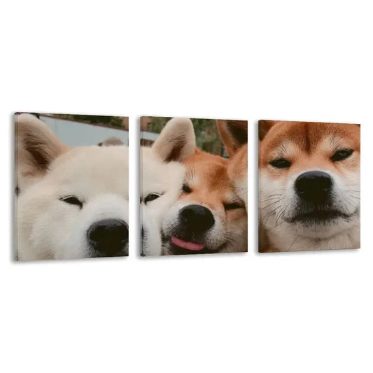 3pc3pcs Modern Cute Shiba inu Dogs Wall Art Set Canvas Framed 60x90cm - High Quality Print 100% Australian Made Wall Canvas Ready to Hang