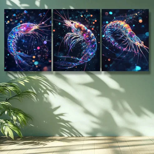 3pcs Shrimp, Dream Wall Art Set Canvas Unframed - High Quality Print 100% Australian Made Wall Canvas