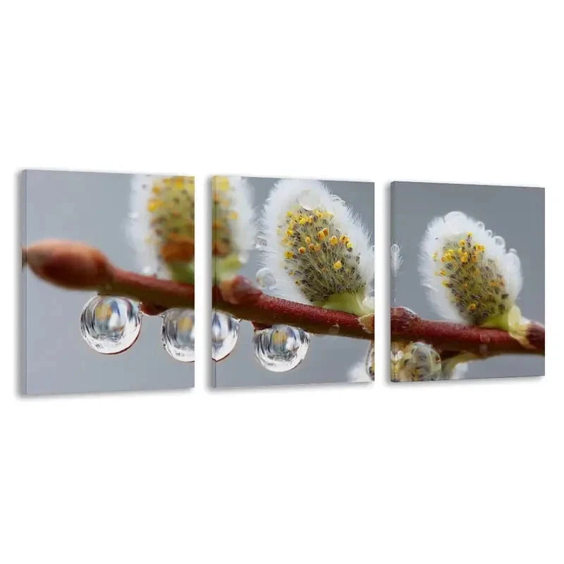 3pcs Water Droplets Cling To Willow   Wall Art Set Canvas Framed 50x70cm - High Quality Print 100% Australian Made Wall Canvas Ready to Hang - Bella Home Decor