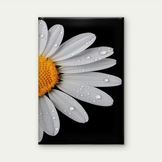 White Daisies with Water Droplets 60x90cm Metal Print Ready to Hang