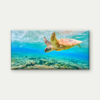 Underwater Sea Turtle Wall Art Canvas Office Home Room Framed 120x60cm