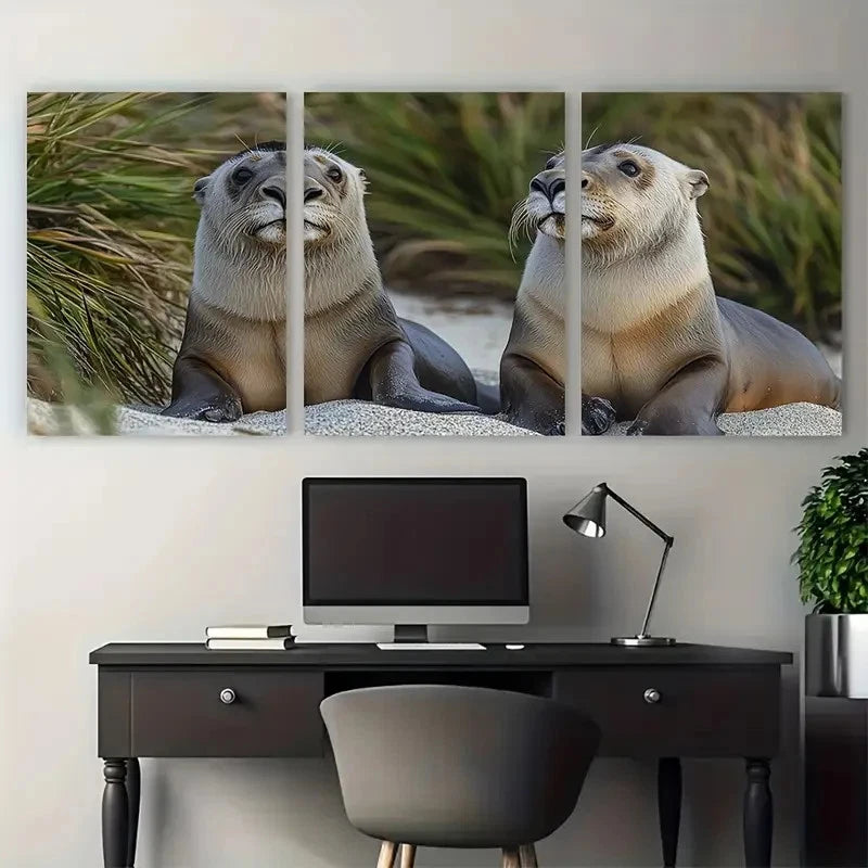 3pcs Australian Sea Lions Vivid Coastal Wildlife Metal Print Ready to Hang Art - Bella Home Decor