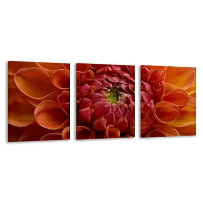 3pcs Vibrant Orange And Pink Dahlia Blooms   Wall Art Set Canvas Framed 40x60cm - High Quality Print 100% Australian Made Wall Canvas Ready to Hang - Bella Home Decor