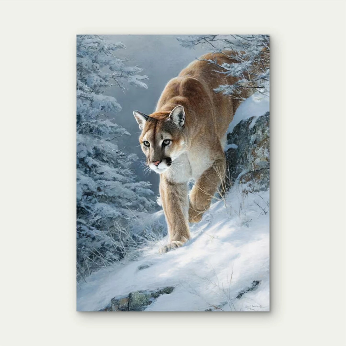Mountain Lion Cougar Winter Wilderness 60x90cm Metal Print Ready to Hang