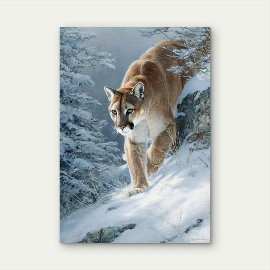 Mountain Lion Cougar Winter Wilderness 60x90cm Metal Print Ready to Hang