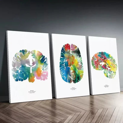 3pcs Neurology & Psychology Wall Art Canvas Unframed - High Quality Print 100% Australian Made Wall Canvas