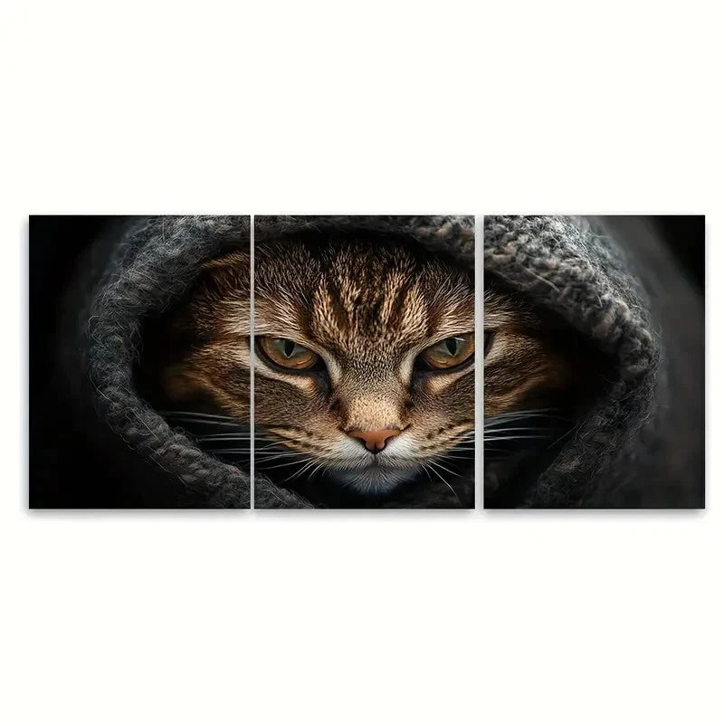 3pcs Angry Cat Wool Blanket deco   Wall Art Set Canvas Framed 60x90cm - High Quality Print 100% Australian Made Wall Canvas Ready to Hang - Bella Home Decor