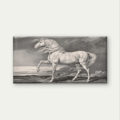 Vintage White Horse Classical Sketch Wall Art Canvas Office Home Framed 120x60cm