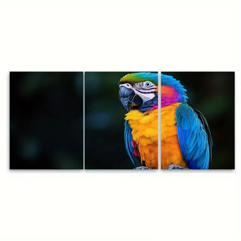 3pcs Colorful Parrot Feathers Nature Metal Print Ready to Hang Art - Bella Home Decor