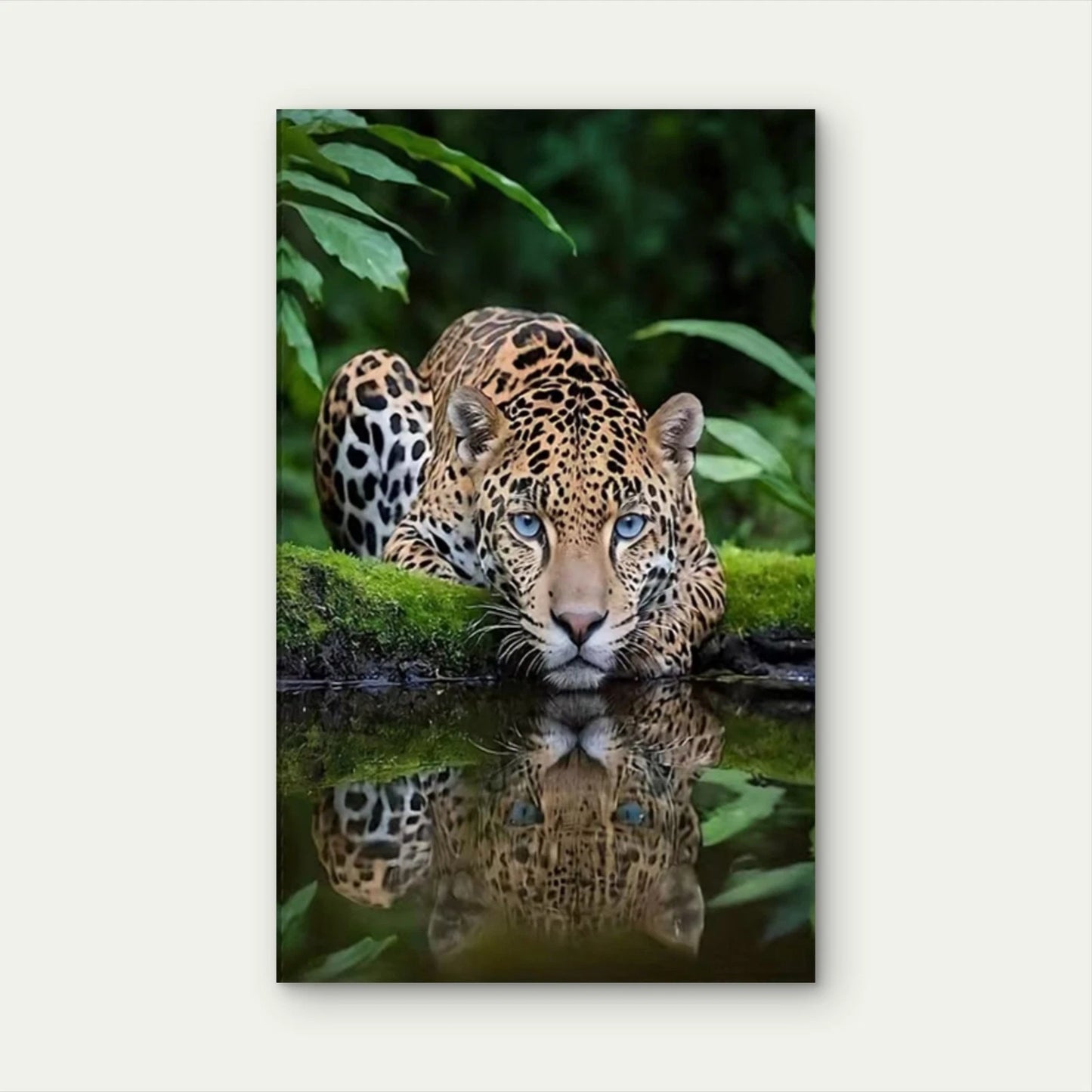 Wildlife for JAGUAR Portrait 60x90cm Metal Print Ready to Hang
