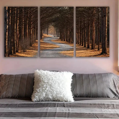 3pcs Pathway Through the Pines Landscape Wall Art Set Canvas Framed 40x60cm - High Quality Print 100% Australian Made Wall Canvas Ready to Hang