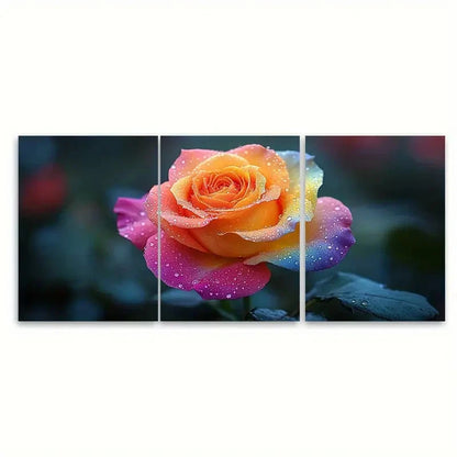 3pcs Vibrant Rainbow Rose Macro Photography Wall Art Set Canvas Framed 50x70cm - High Quality Print 100% Australian Made Wall Canvas Ready to Hang