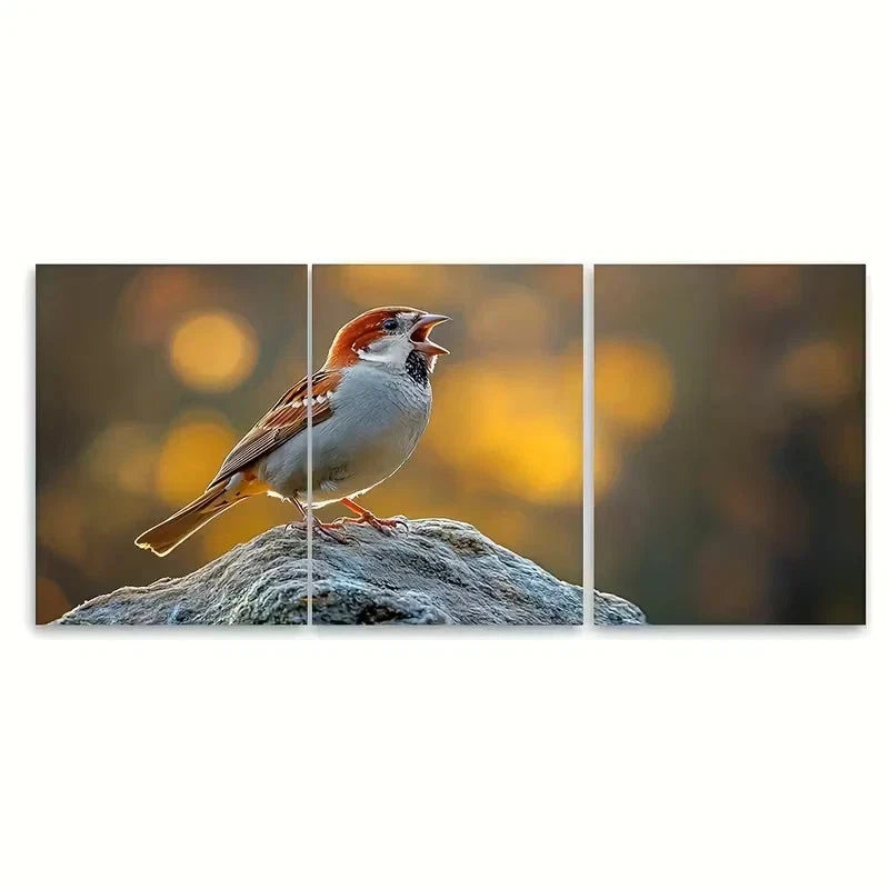 3pcs Perched Sparrow Bird Singing Wall Art Set Canvas Framed 60x90cm - High Quality Print 100% Australian Made Wall Canvas Ready to Hang