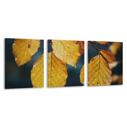 3pcs Beech Tree Yellow Leaves in Autumn Wall Art Set Canvas Framed 40x60cm - High Quality Print 100% Australian Made Wall Canvas Ready to Hang - Bella Home Decor