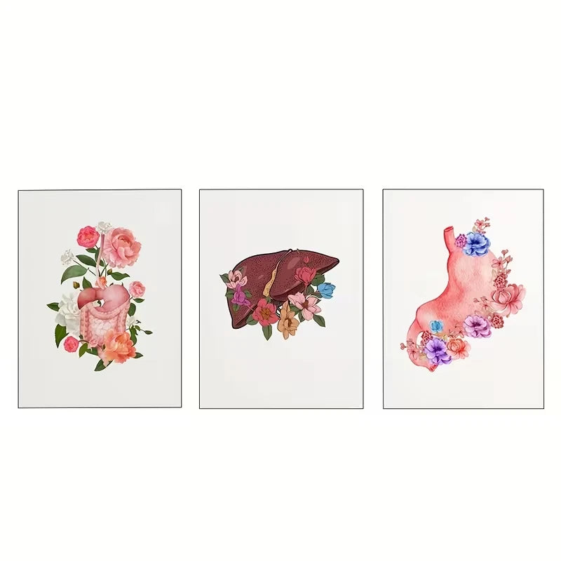 3pcs Watercolor Anatomy Floral Anatomy Designs  Wall Art Set Canvas Framed 40x60cm - High Quality Print 100% Australian Made Wall Canvas Ready to Hang