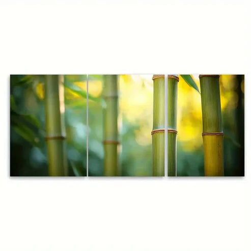 3pcs Vibrant Green Bamboo Nature Illustration Wall Art Canvas Unframed - High Quality Print 100% Australian Made Wall Canvas