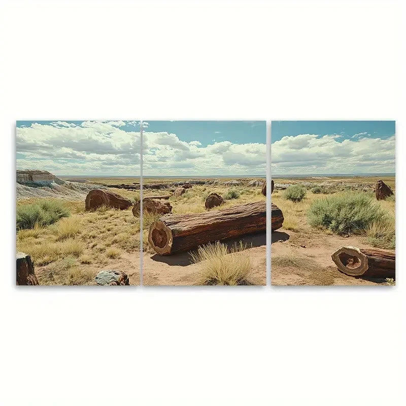 3pcs Petrified Forest National Park Illustration Wall Art Set Canvas Framed 40x60cm - High Quality Print 100% Australian Made Wall Canvas Ready to Hang