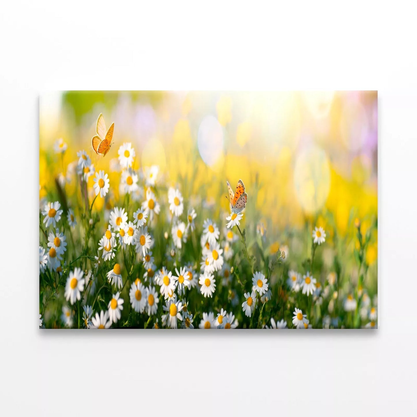 Flowers And Butterflies Close up Wall Art Decor 100% Australian Made - Bella Home Decor