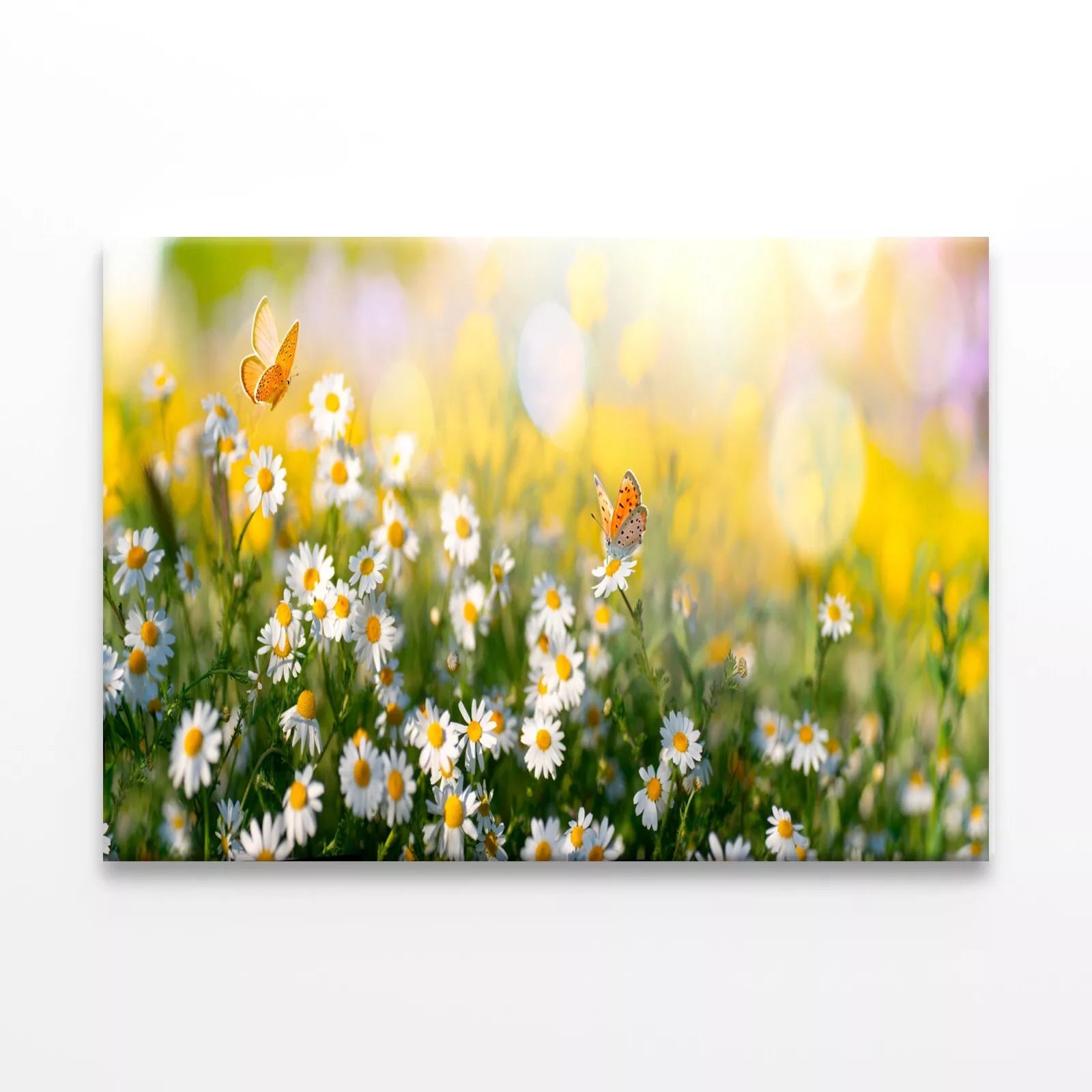 Flowers And Butterflies Close up Wall Art Decor 100% Australian Made - Bella Home Decor