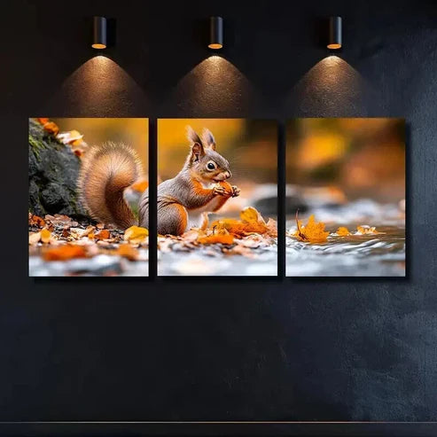 3pcs A Cute Squirrel is Sitting on the Bank Wall Art Canvas Unframed – High Quality Print 100% Australian Made Wall Canvas