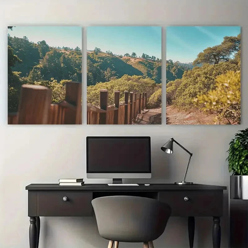3pcs Muir Woods National Monument Travel Wall Art Set Canvas Framed 60x90cm - High Quality Print 100% Australian Made Wall Canvas Ready to Hang