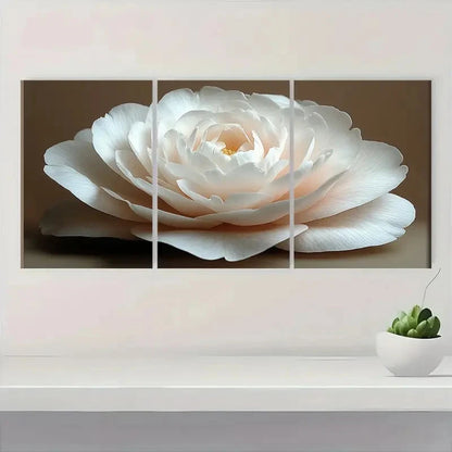 3pcs White Camellia Flower Elegant Floral CF   Wall Art Set Canvas Framed 50x70cm - High Quality Print 100% Australian Made Wall Canvas Ready to Hang