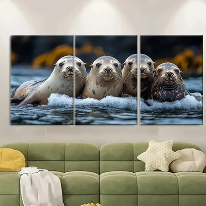 3pcs Sea Lions Huddled ri  Wall Art Set Canvas Framed 50x70cm - High Quality Print 100% Australian Made Wall Canvas Ready to Hang