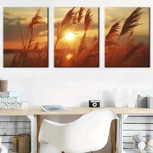 3pcs Nature Grasses & Sunset View Wall Art Canvas Unframed - High Quality Print 100% Australian Made Wall Canvas