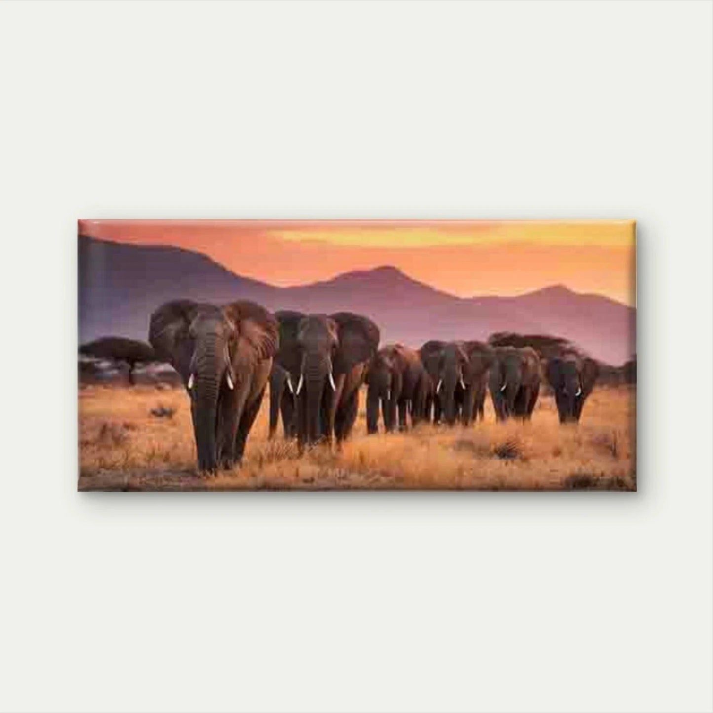 Elephant with Sunset Savannah Wall Art Canvas Office Home Room Framed 120x60cm