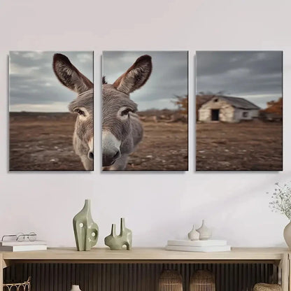 3pcs Farm Animal Donkey Wall Art Set Canvas Framed 50x70cm - High Quality Print 100% Australian Made Wall Canvas Ready to Hang