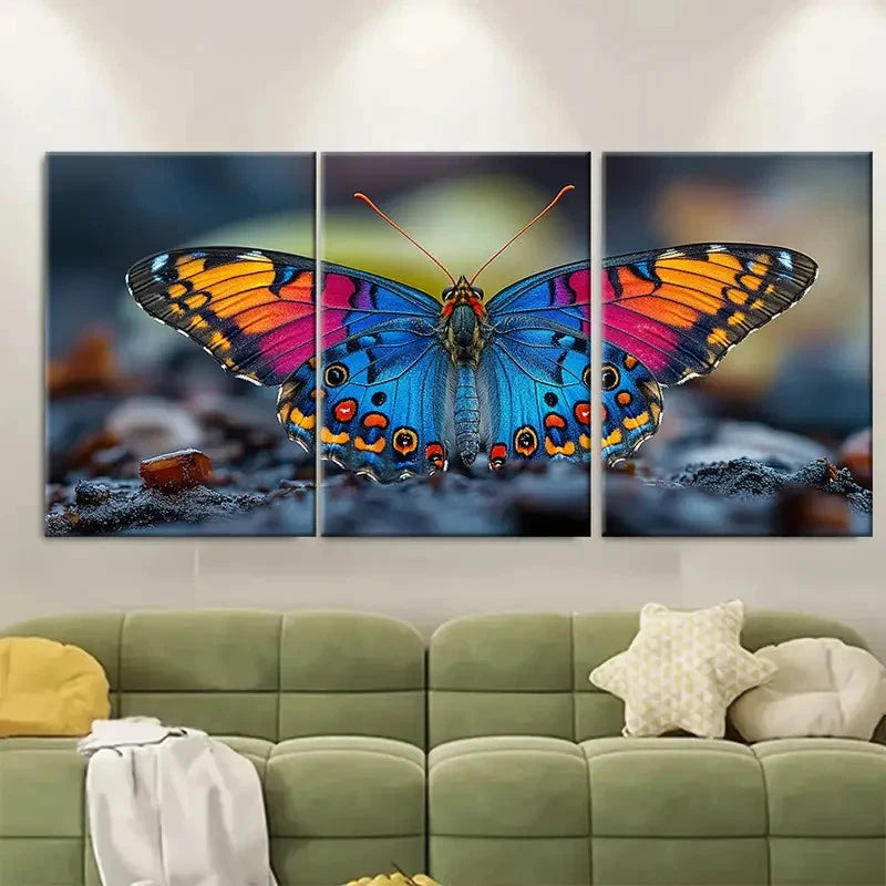 3pcs Colorful Butterfly Macro OI  Wall Art Set Canvas Framed 60x90cm - High Quality Print 100% Australian Made Wall Canvas Ready to Hang - Bella Home Decor