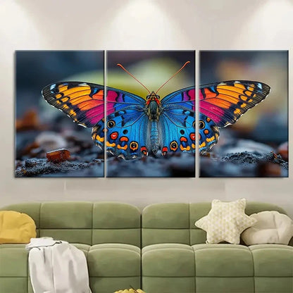 3pcs Colorful Butterfly Macro OI  Wall Art Set Canvas Framed 60x90cm - High Quality Print 100% Australian Made Wall Canvas Ready to Hang - Bella Home Decor