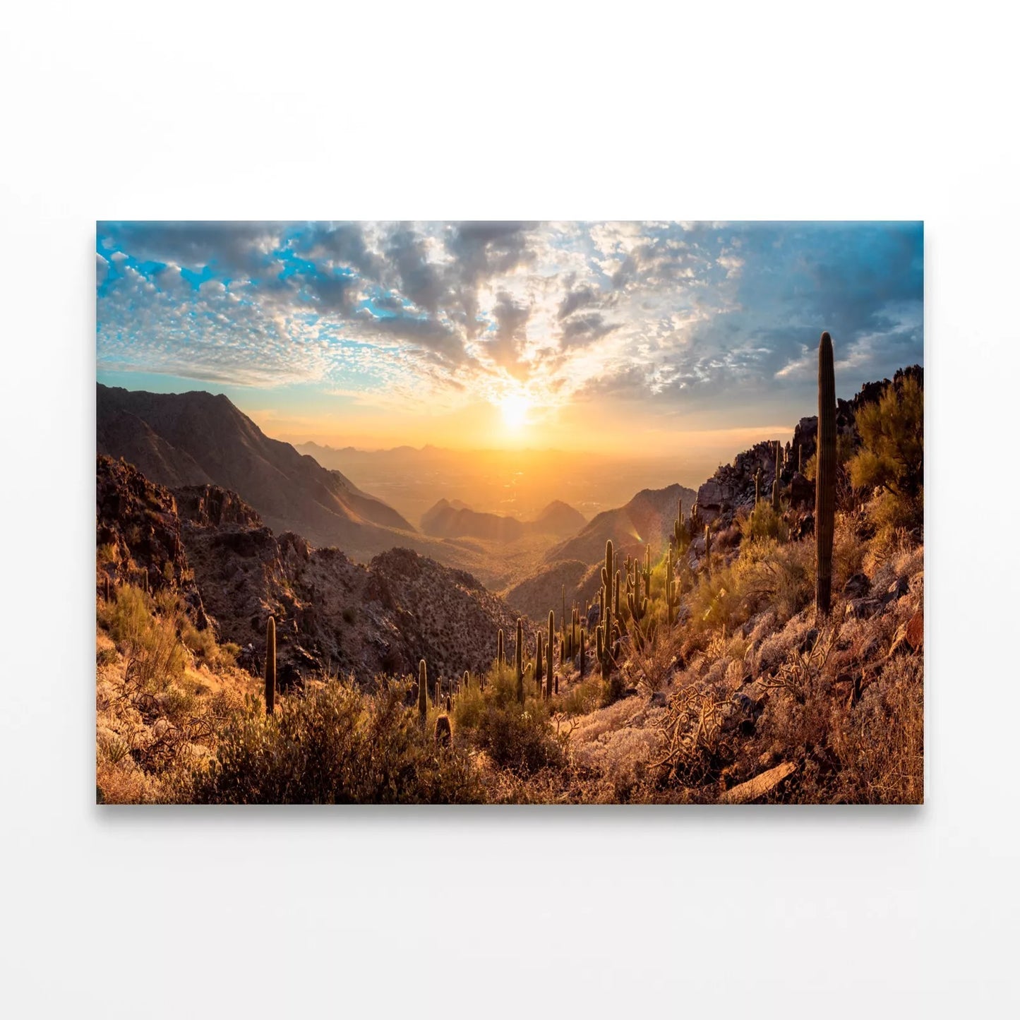 Vibrant Cactus Trees And Sunrise Wall Art Decor 100% Australian Made - Bella Home Decor