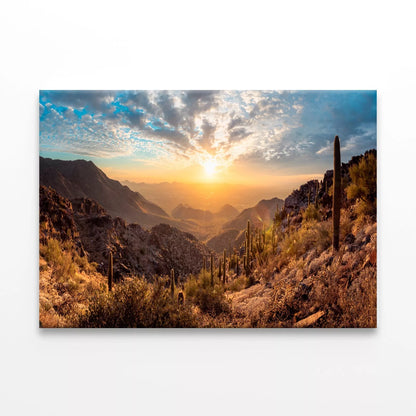 Vibrant Cactus Trees And Sunrise Wall Art Decor 100% Australian Made - Bella Home Decor