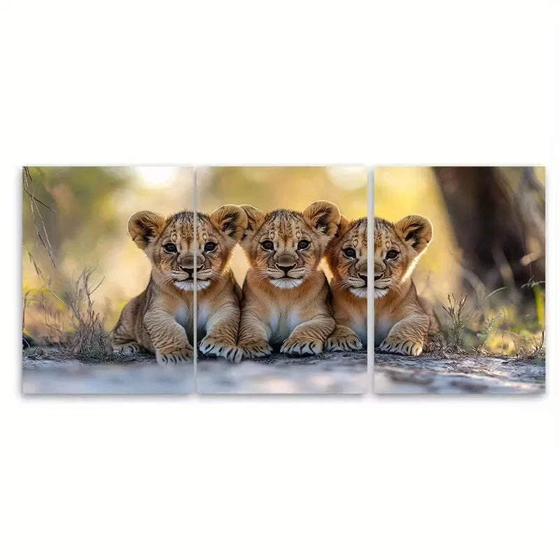 3pcs Lion Cubs Cuddling Wildlife Photography Wall Art Set Canvas Framed 50x70cm - High Quality Print 100% Australian Made Wall Canvas Ready to Hang