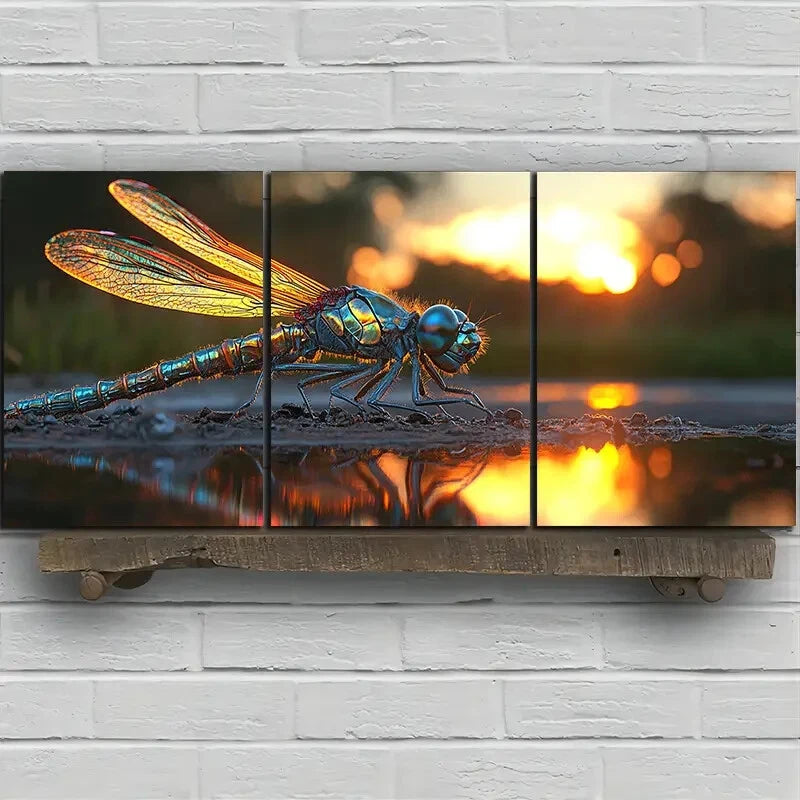 3pcs Dragonflies on The Stone Scenery Metal Print Ready to Hang Art - Bella Home Decor