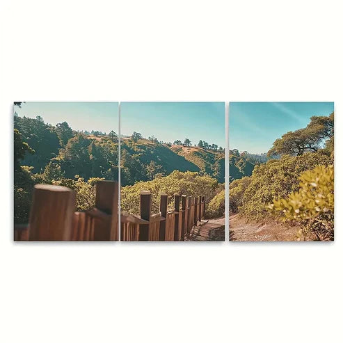 3pcs Muir Woods National Monument Travel Wall Art Set Canvas Unframed - High Quality Print 100% Australian Made Wall Canvas