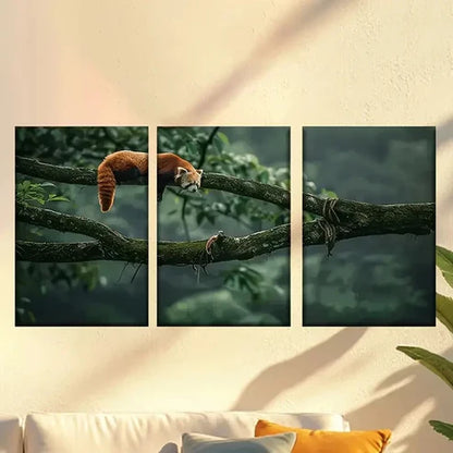 3pcs Sleeping Red Panda Wall Art Set Canvas Unframed – High Quality Print 100% Australian Made Wall Canvas