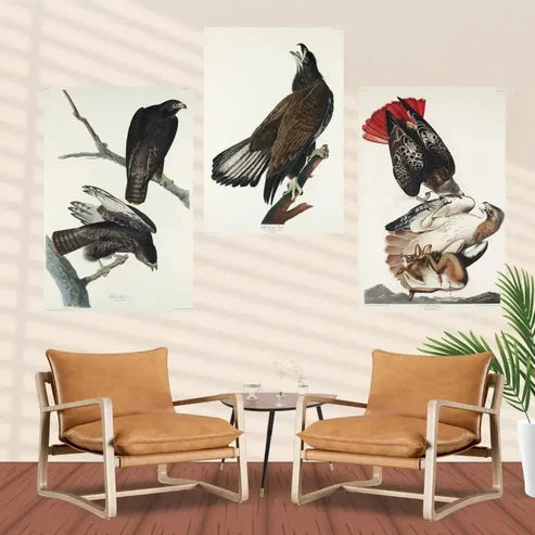 3pcs Timeless Bird Classic Triptych Wall Art Set Canvas Framed 40x60cm - High Quality Print 100% Australian Made Wall Canvas Ready to Hang