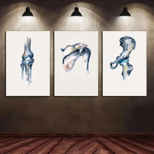 3pcs Classic Ink Anatomy Portrait Orientation Metal Print Ready to Hang Art